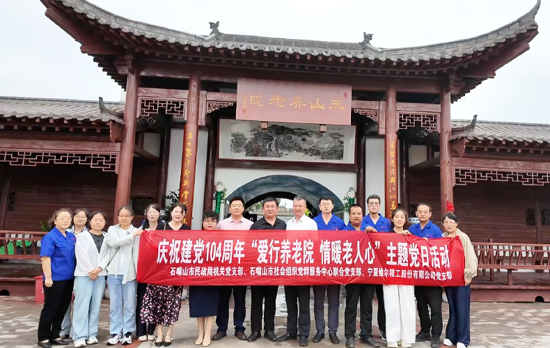 公司开展“爱行养老院 情暖老人心”主题党日活动